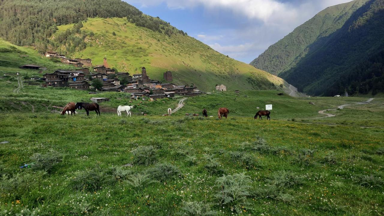Guesthouse Pirimze Dartlo Eksteriør bilde